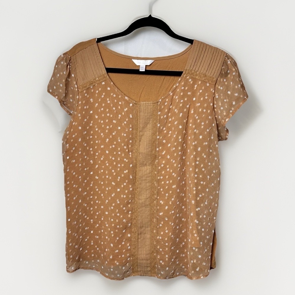 LC | Lauren Conrad Pleated Sheer Lined Dot Blouse Flutter Sleeve Women's XXL